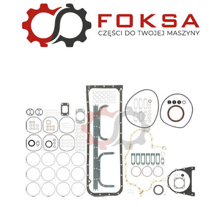 Zestaw uszczelek silnika REINZ