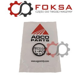 O-ring / Pierścień uszczelniający ORG