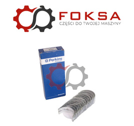 Zestaw panewek głównych I szlif ORG