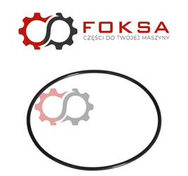 Pierścień uszczelniający / O-ring DANA