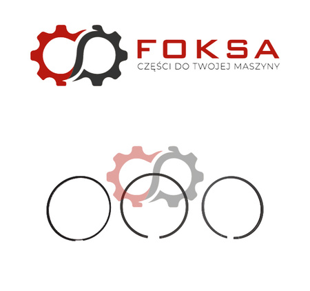 Pierścienie tłokowe NPR