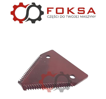 Nożyk kosy górnonacinany