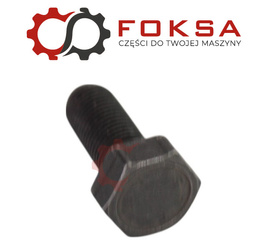 Śrubka zabezpieczająca ORG