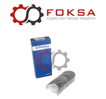 Zestaw panewek głównych I szlif ORG