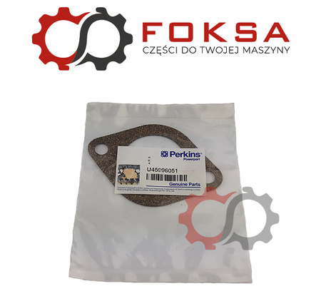 Uszczelka termostatu