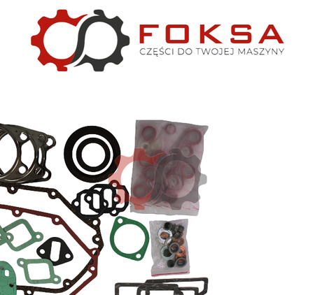 Zestaw uszczelek silnika