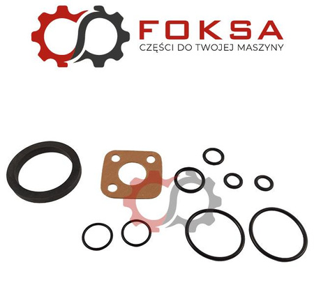 Zestaw montażowy pompy hydraulicznej (komplet uszczelniaczy) MF 3000, 3100, 6100, 6200