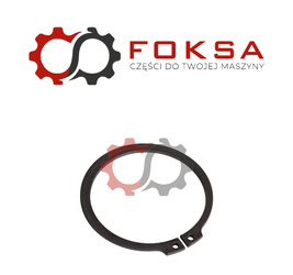 Pierścień segera ORG