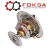 Termostat ORG