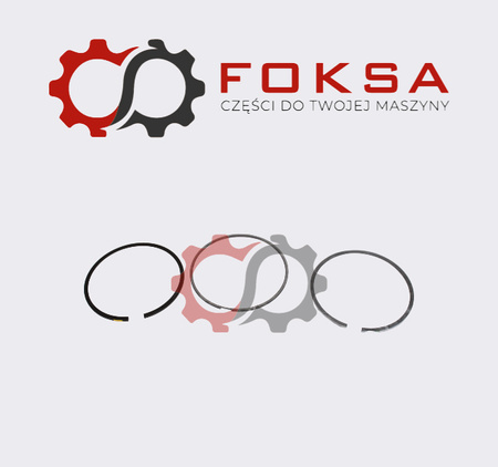 Pierścienie tłokowe ORG