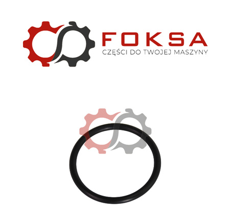 O-ring / Pierścień uszczelniający ORG