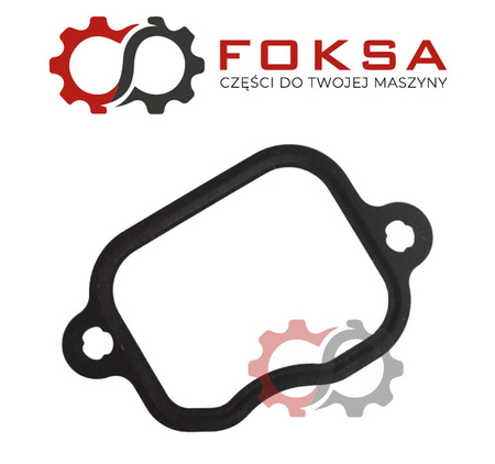 Uszczelka kolektora ssącego REINZ