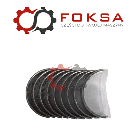 Panweki główne zestaw