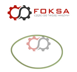 O-ring mechanizmu różnicowego ORG