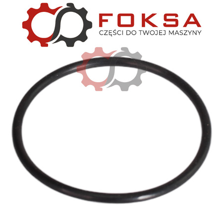 Pierścień uszczelniający tłoka