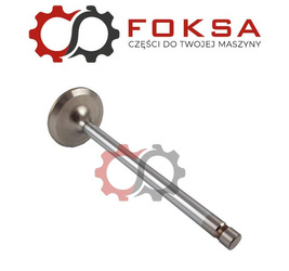 Zawór ssący