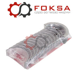 Panewki główne kpl. STD SM