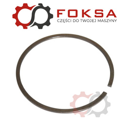 Pierścień zabezpieczający ZF