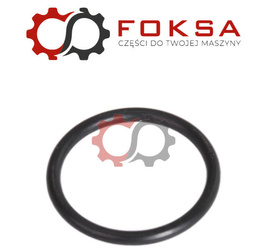 O-ring płyty montażowej pompy