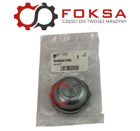 Pokrywa piasty / kołpak ORG