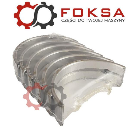 Zestaw panewek głównych KMP I szlif