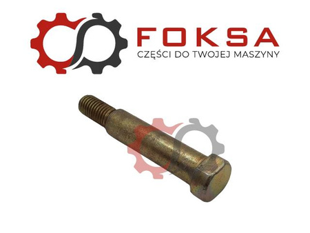 Sworzeń gwiazdy motowidła