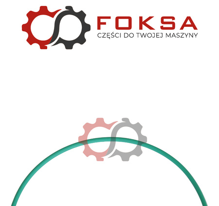 O-ring / pierścień uszczelniający kosza ORG