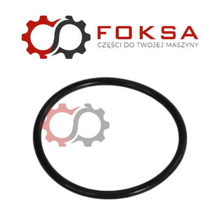 O-ring korka spustowego ZF