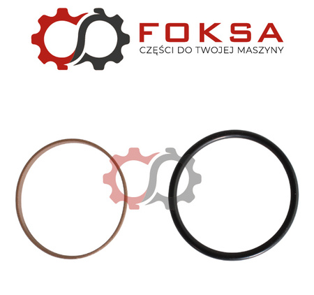 Uszczelniacz tłoka rewersu ORG