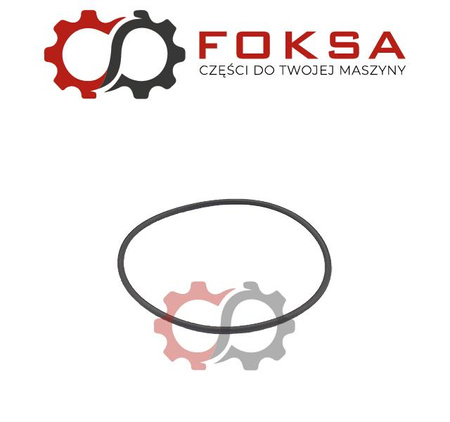 O-ring tloka hamulca