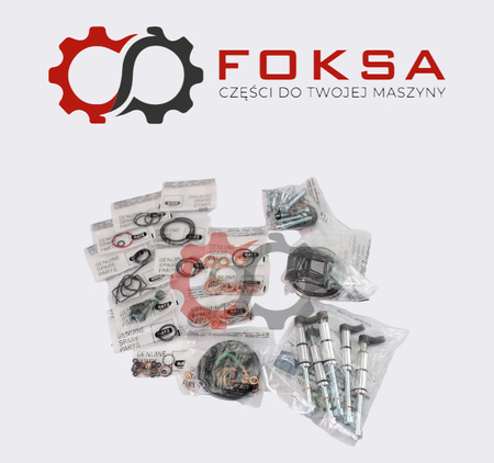 Zestaw uszczelek silnika ORG