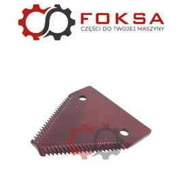 Nożyk kosy górnonacinany