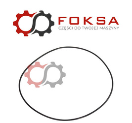 O-ring / Pierścień uszczelniający