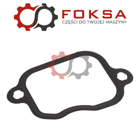 Uszczelka kolektora ssącego REINZ