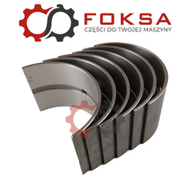 Zestaw panewek głównych STD