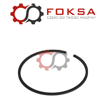 Pierścień uszczelniający