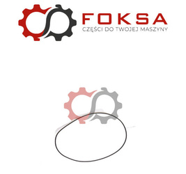 Pierścień uszczelniający cylindra ORG