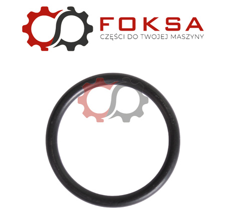 O-ring płyty montażowej pompy