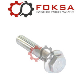 Śruba koła zamachowego