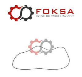 O-ring / Uszczenienie zwolnicy