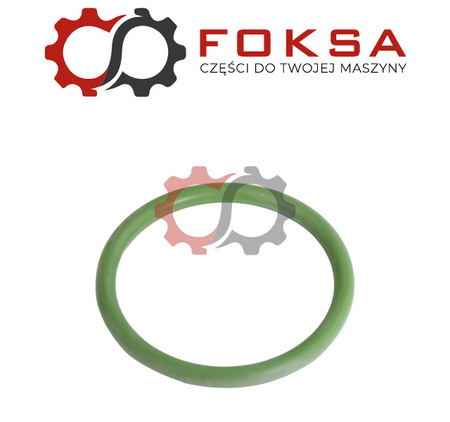 Oring pompowtrysku BOSCH