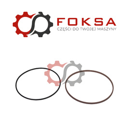 Pierścień uszczelniający ORG