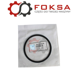 Uszczelniacz promieniowy tłoka ORG