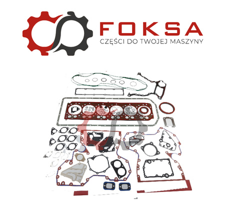 Zestaw uszczelek ORG