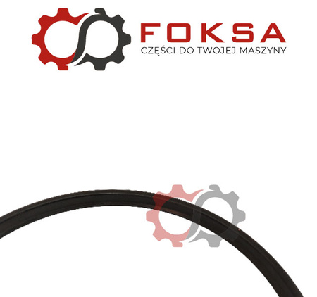 Pierścień uszczelniający wałka WOM