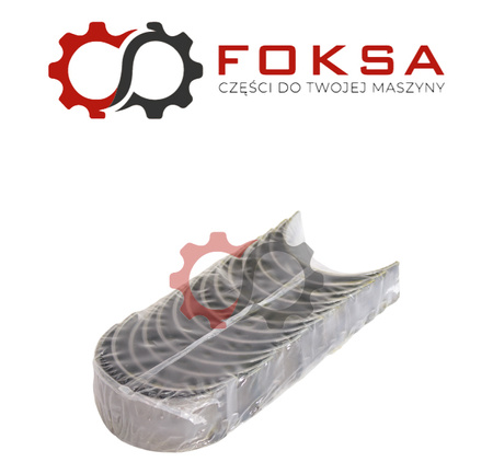 Zestaw panewek głównych I szlif ORG