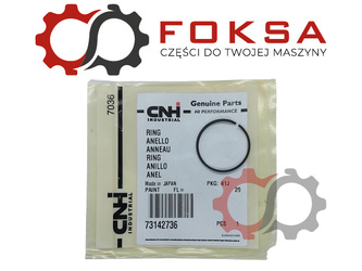 Pierścień uszczeniający ORG