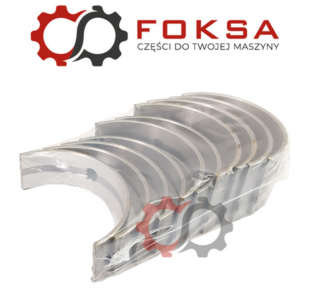 Zestaw panewek głównych KMP I szlif