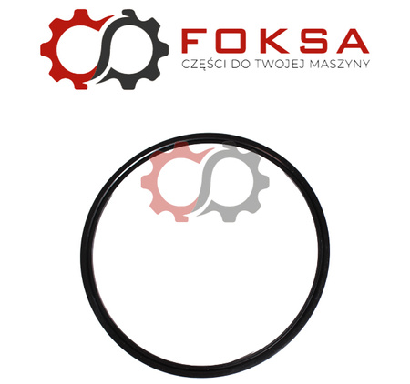 Pierścień uszczelniający / zamkowy