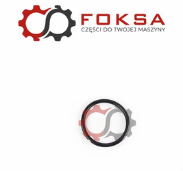 O-ring płyty montażowej pompy